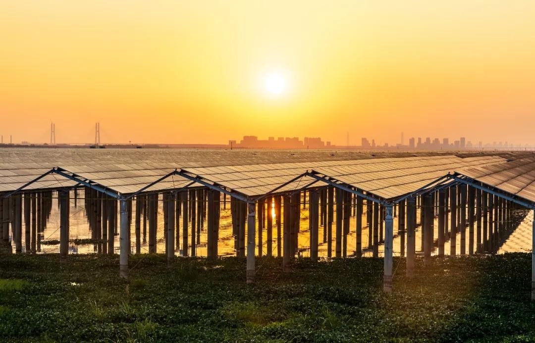 Beyond Success - www.yibai.com Achieved a Preferred Scale of 1120 MW in Jiangxi